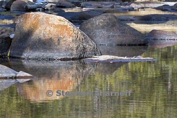 tuolumne river rocks water 